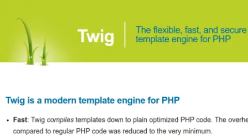 Screen Website twig