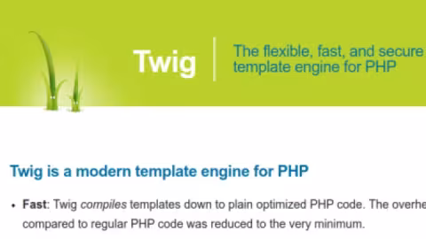 Screenshot: Website Twig